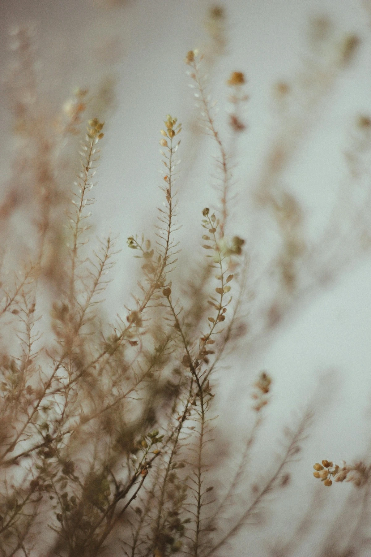 parallax background